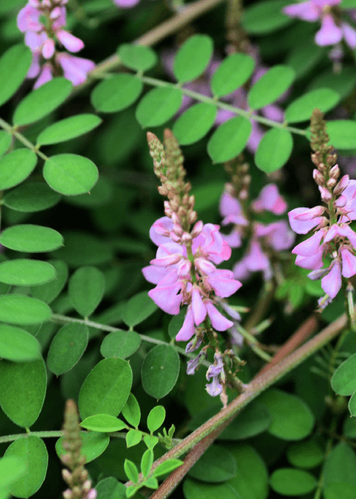 Blog image 1