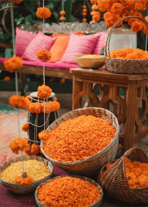 Marigold Flower 