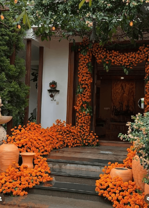 Marigold used in decor 