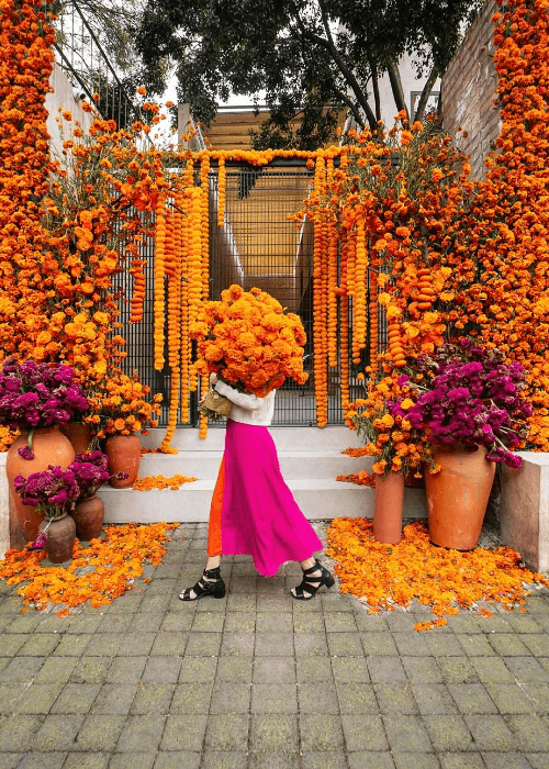 Marigold used in decor 