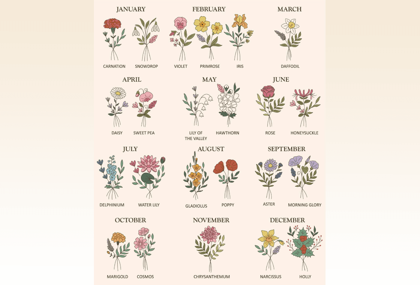 Two traditional birth flowers for each month, photographed seasonally to show how birth flowers align with climate, growth cycles, and the natural calendar.