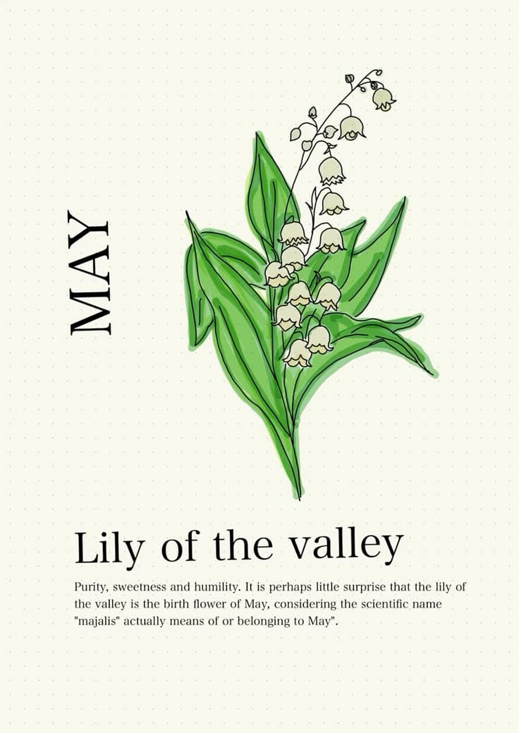 Lily of the valley photographed in a natural setting, reflecting Victorian-era floral symbolism and seasonal birth flower traditions