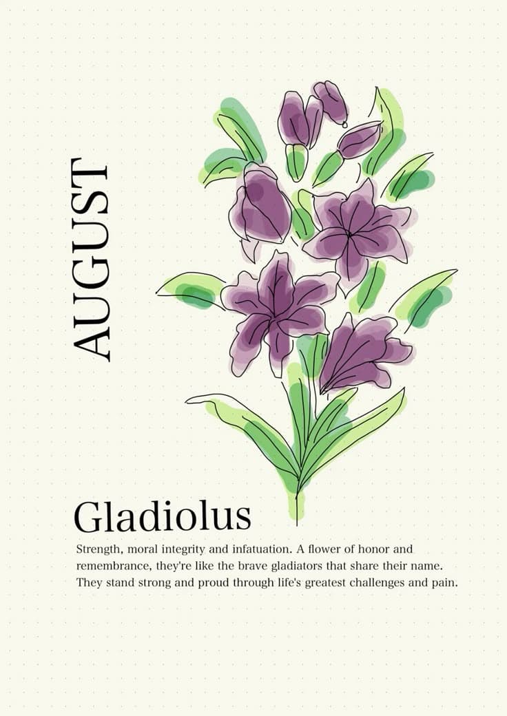 Gladiolus flower shown in natural light, symbolising strength, resilience, and the recurring seasonal nature of birth flowers