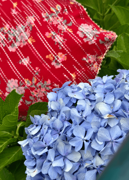 PhoolBagan, floral home furnishings, a brand dedicated to floral patterns 