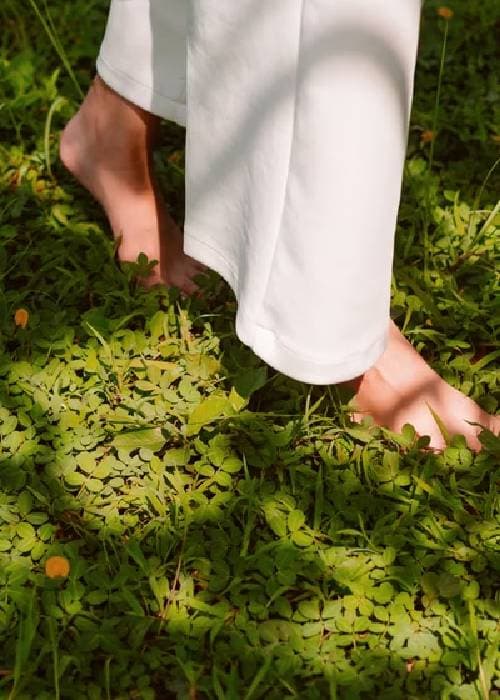 Human connection to nature shown through botanical patterns and natural elements in interior space