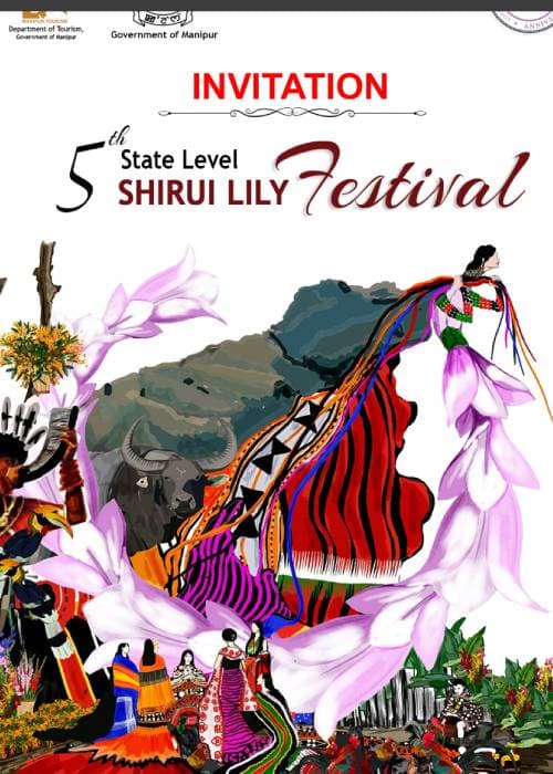 Rare Shirui Lily flowers blooming on Shirui Hills in Ukhrul, Manipur during the annual Shirui Lily Festival in India.