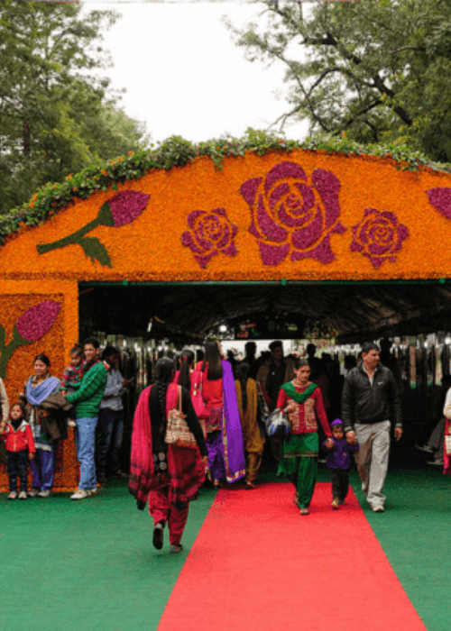 Colourful rose varieties at the Chandigarh Rose Festival held at Zakir Hussain Rose Garden, one of the largest rose gardens in Asia.