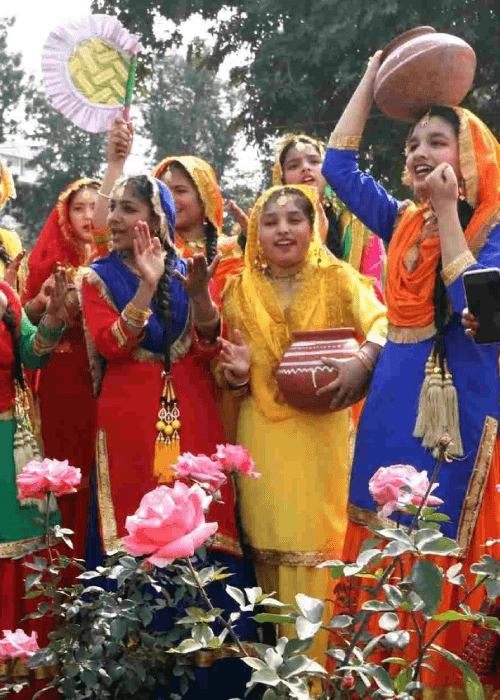 Colourful rose varieties at the Chandigarh Rose Festival held at Zakir Hussain Rose Garden, one of the largest rose gardens in Asia.