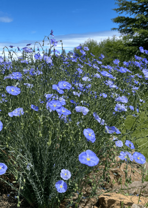 Blog image 2