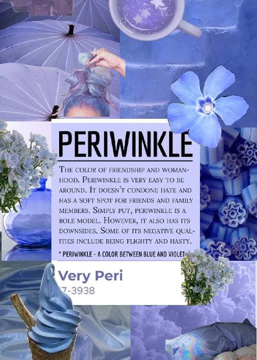 Periwinkle color of sadabahar flowers | phoolbagan | the floral way of living 