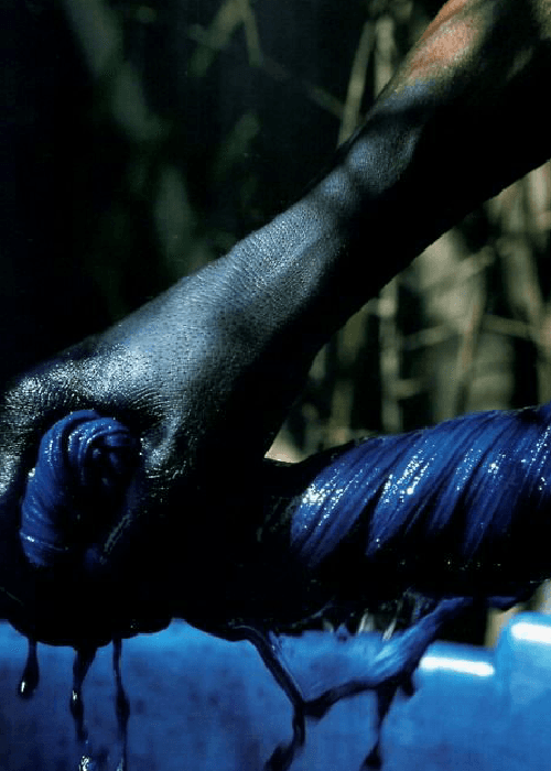 Blog image 3